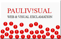 PauliVisual